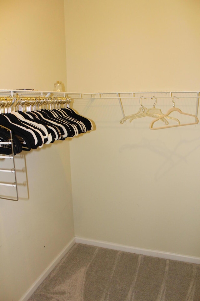 9541 Lakeside Dr, Ypsilanti, MI 48197 - spacious closet with carpet flooring