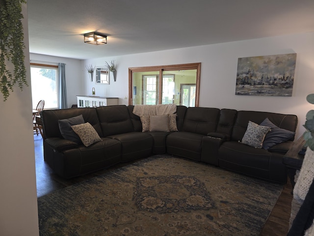 living area featuring wood finished floors