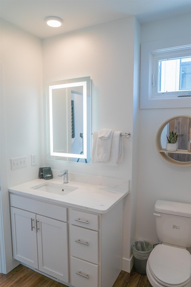 138 Gillis St, Traverse City, MI 49684 - bathroom with vanity, wood finished floors, and toilet