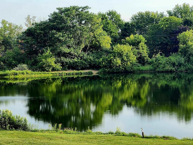 water view