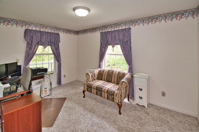 2688 White St, Niles, MI 49120 - carpeted home office featuring healthy amount of natural light and baseboards