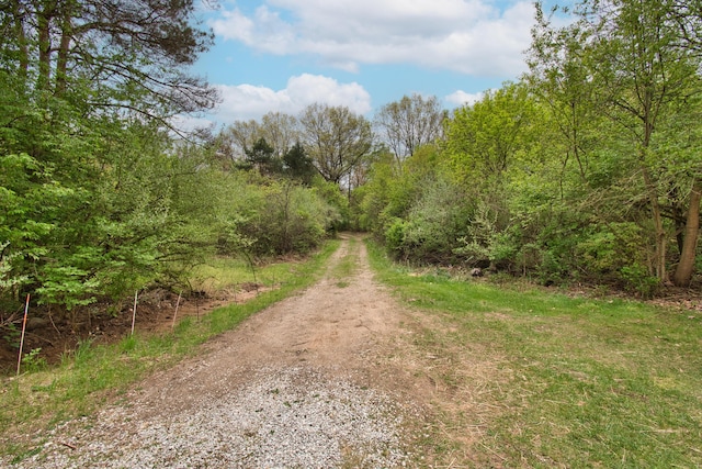 2688 White St, Niles, MI 49120 - view of dirt / gravel road with a wooded view
