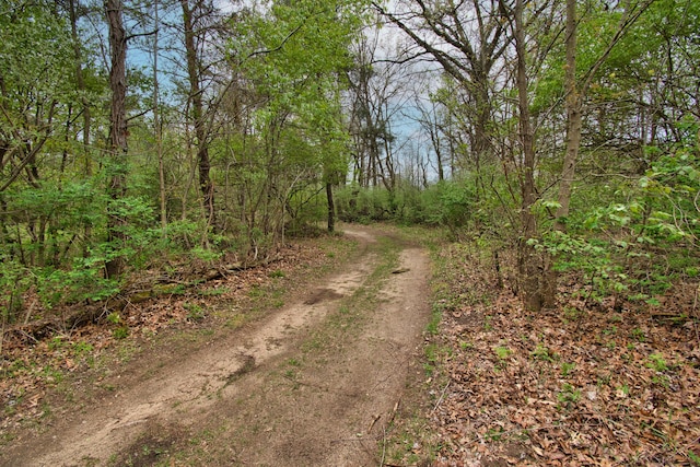 2688 White St, Niles, MI 49120 - view of dirt / gravel road featuring a wooded view