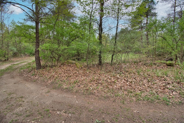 2688 White St, Niles, MI 49120 - view of woods