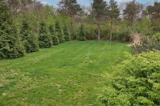 2688 White St, Niles, MI 49120 - view of green lawn