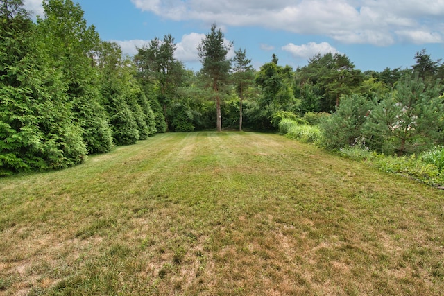 2688 White St, Niles, MI 49120 - photo 51