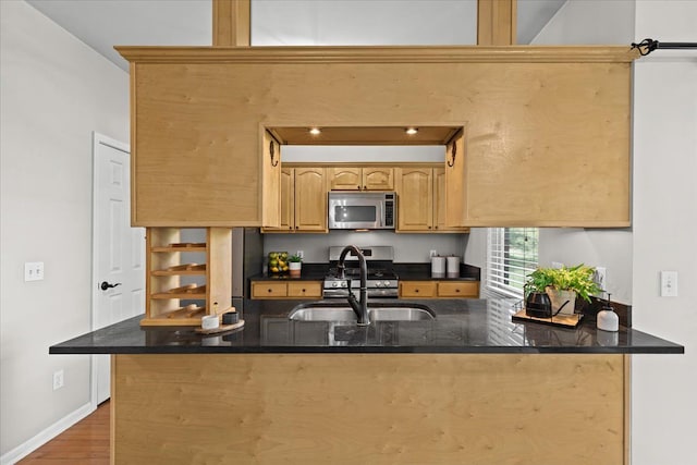 5949 High Point Ct, Brighton, MI 48116 - kitchen featuring stainless steel appliances, a sink, wood finished floors, dark stone counters, and a peninsula