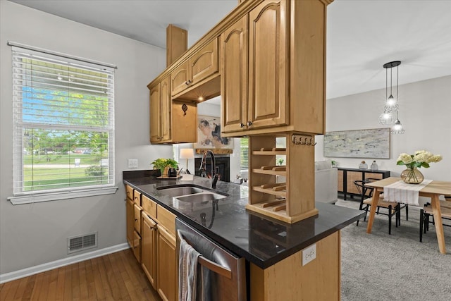 5949 High Point Ct, Brighton, MI 48116 - kitchen featuring stainless steel dishwasher, a sink, baseboards, and healthy amount of natural light