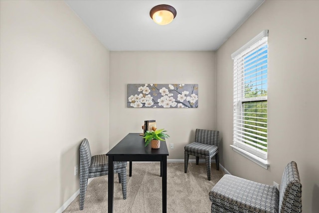 5949 High Point Ct, Brighton, MI 48116 - carpeted office featuring baseboards
