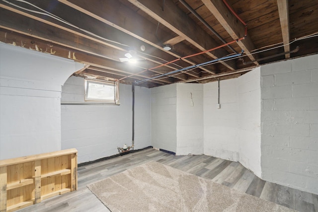 basement featuring wood finished floors