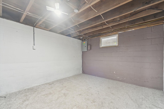 below grade area with carpet floors