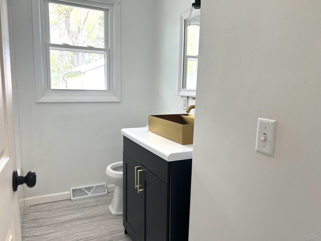bathroom with baseboards, plenty of natural light, vanity, and wood finished floors