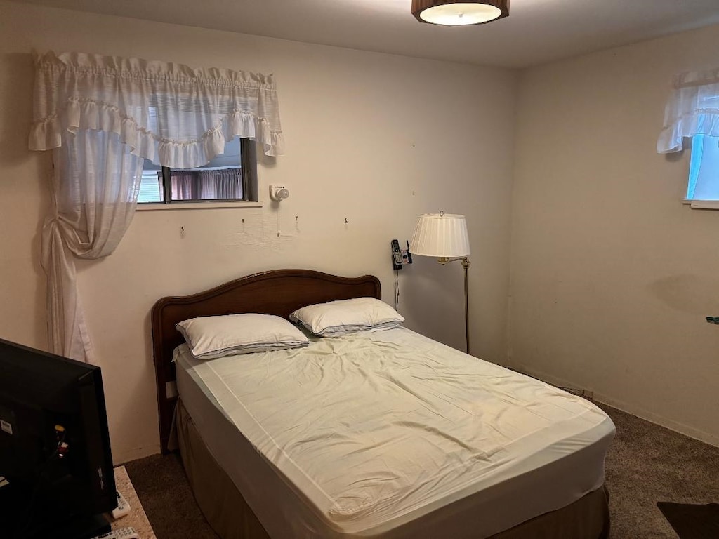 bedroom featuring multiple windows and dark colored carpet
