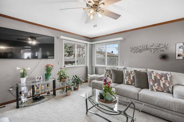 carpeted living area featuring ceiling fan, baseboards, and crown molding