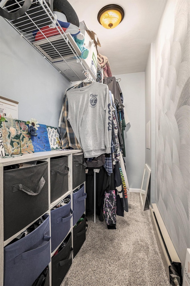 2660 Barber Rd, Grass Lake, MI 49240 - spacious closet with carpet