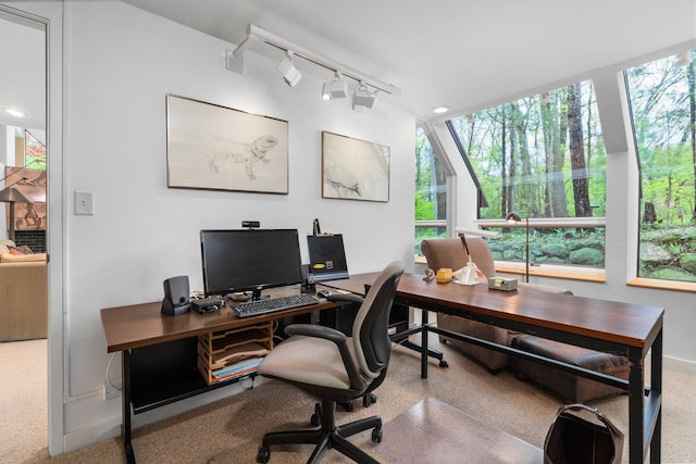 office with healthy amount of natural light, carpet floors, and rail lighting