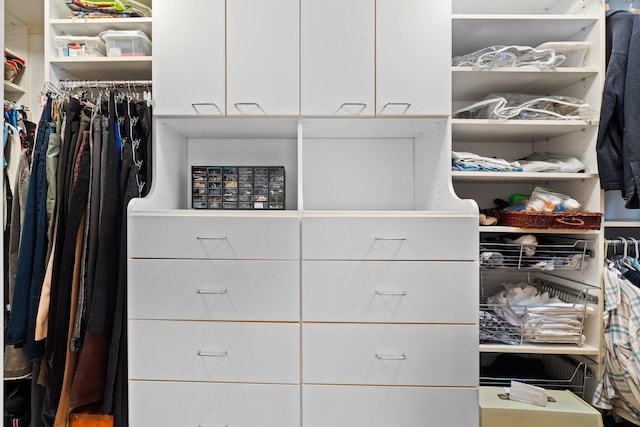 view of walk in closet