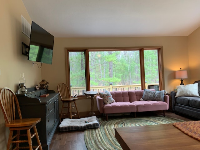 15205 Riverview Rd SE, Grayling, MI 49738 - living room featuring healthy amount of natural light and dark wood-style flooring