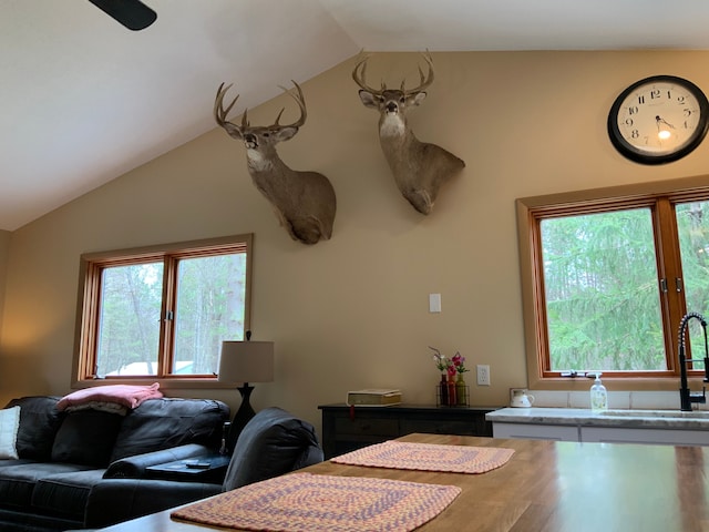 15205 Riverview Rd SE, Grayling, MI 49738 - living room featuring lofted ceiling