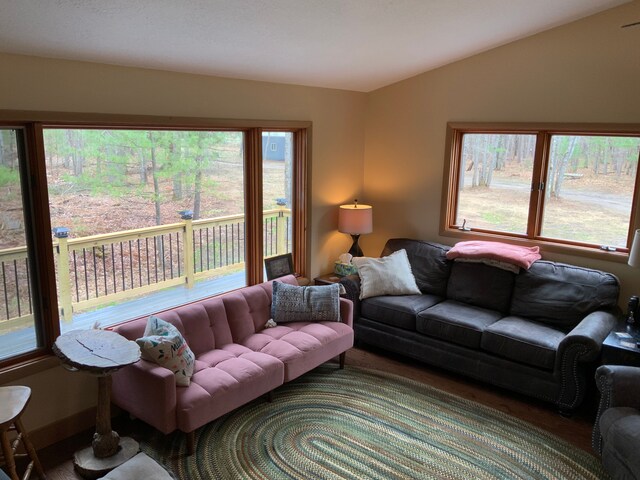 15205 Riverview Rd SE, Grayling, MI 49738 - living area with lofted ceiling and healthy amount of natural light