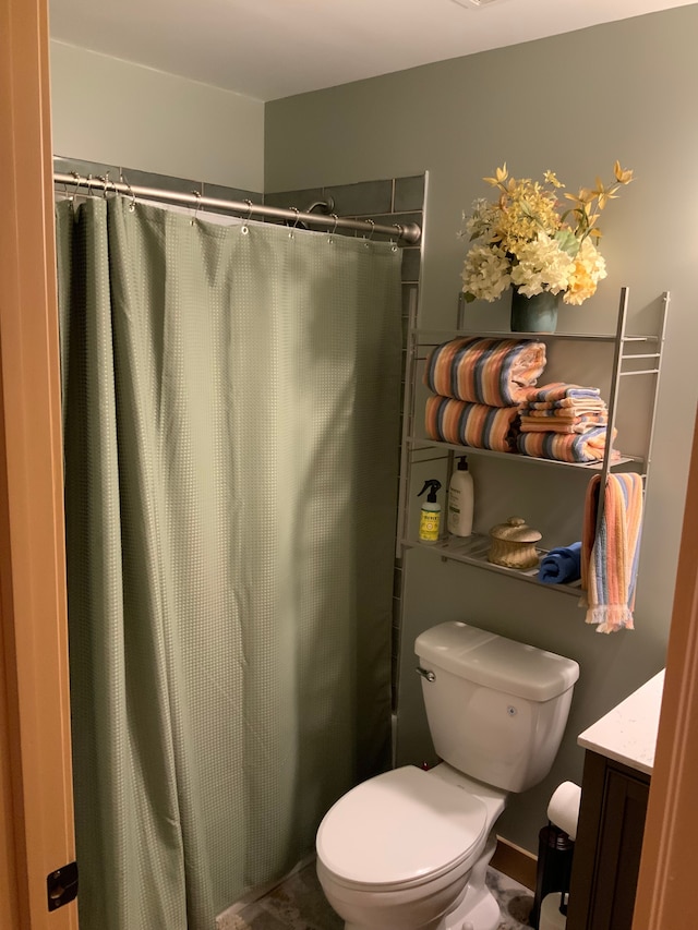 15205 Riverview Rd SE, Grayling, MI 49738 - bathroom featuring toilet, vanity, and curtained shower
