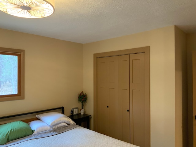 15205 Riverview Rd SE, Grayling, MI 49738 - bedroom featuring a closet and a textured ceiling