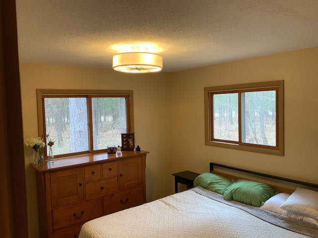 15205 Riverview Rd SE, Grayling, MI 49738 - bedroom with a textured ceiling