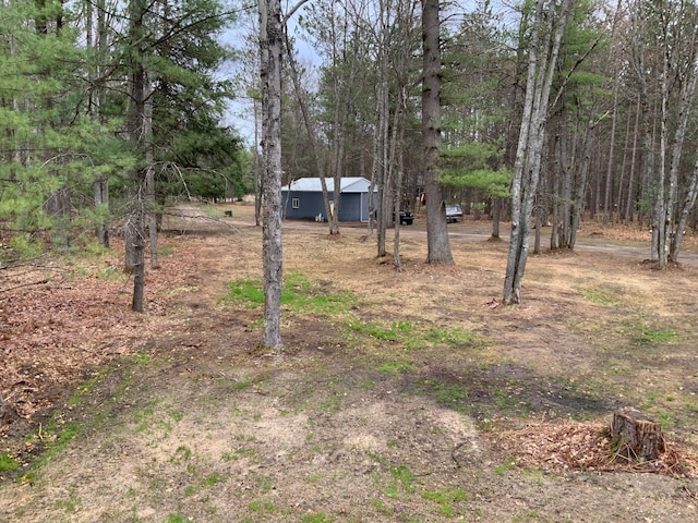 15205 Riverview Rd SE, Grayling, MI 49738 - view of yard