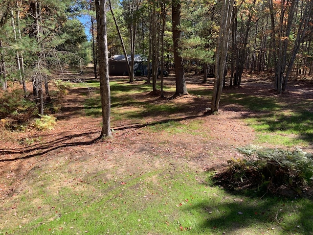 15205 Riverview Rd SE, Grayling, MI 49738 - view of yard