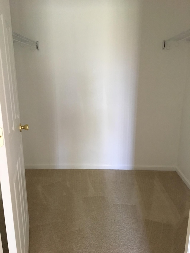 walk in closet featuring carpet