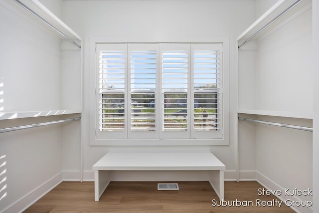 spacious closet with wood finished floors