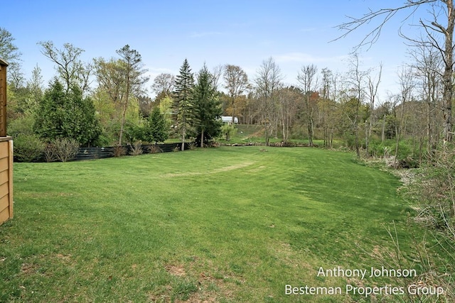 view of grassy yard
