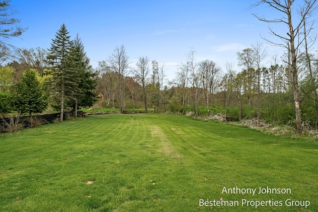 view of green lawn