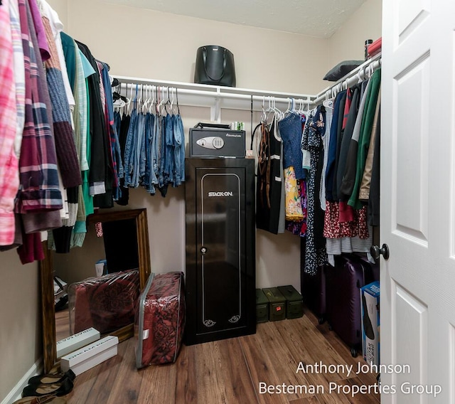 spacious closet featuring wood finished floors