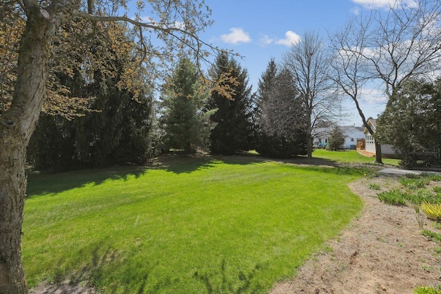 view of green lawn