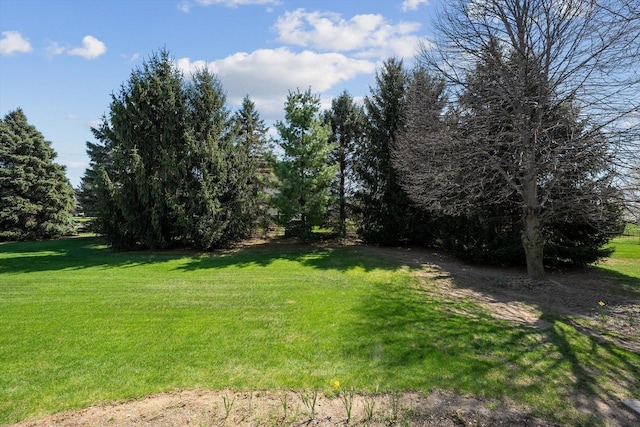 view of grassy yard