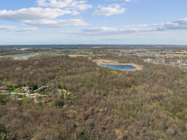 view of property location with a forest and a large body of water