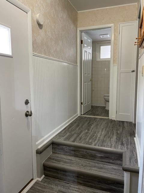 bathroom featuring toilet, wood finished floors, and wainscoting