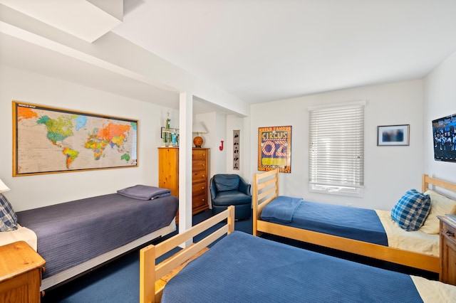 50102 Alpine Blvd, New Buffalo, MI 49117 - view of bedroom