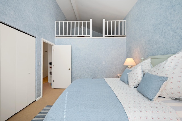 50102 Alpine Blvd, New Buffalo, MI 49117 - bedroom with a high ceiling, carpet, and a closet