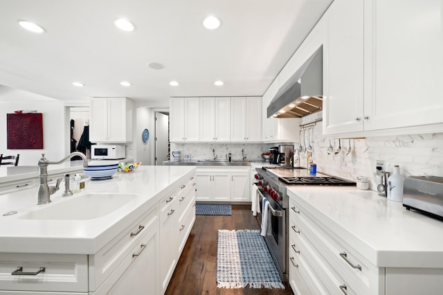 50102 Alpine Blvd, New Buffalo, MI 49117 - kitchen featuring stainless steel stove, under cabinet range hood, white microwave, a sink, and tasteful backsplash