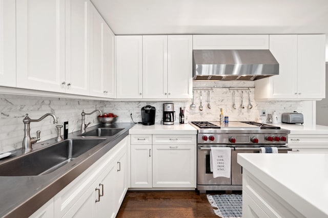 50102 Alpine Blvd, New Buffalo, MI 49117 - kitchen with wall chimney range hood, premium stove, a sink, backsplash, and white cabinetry