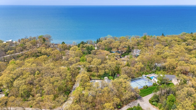 50102 Alpine Blvd, New Buffalo, MI 49117 - aerial view of a large body of water and a forest