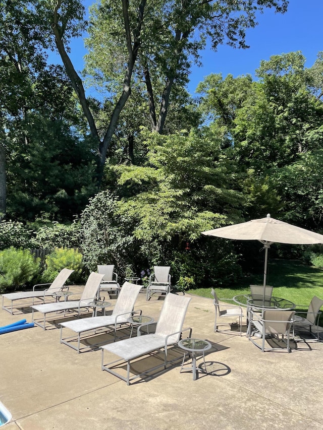 50102 Alpine Blvd, New Buffalo, MI 49117 - view of patio featuring view of wooded area