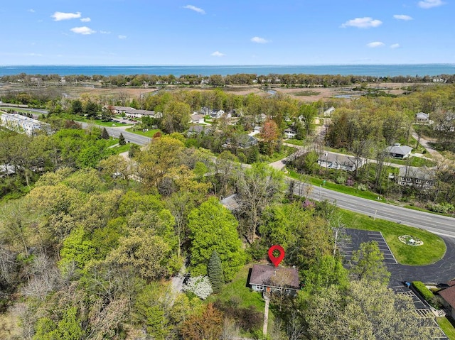 1603 E Detroit St, New Buffalo, MI 49117 - bird's eye view of a large body of water