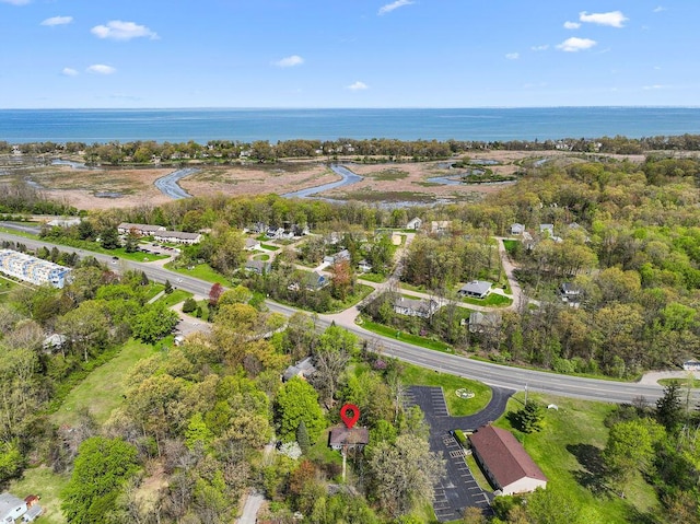 1603 E Detroit St, New Buffalo, MI 49117 - aerial overview of property's location featuring a nearby body of water and a tree filled landscape