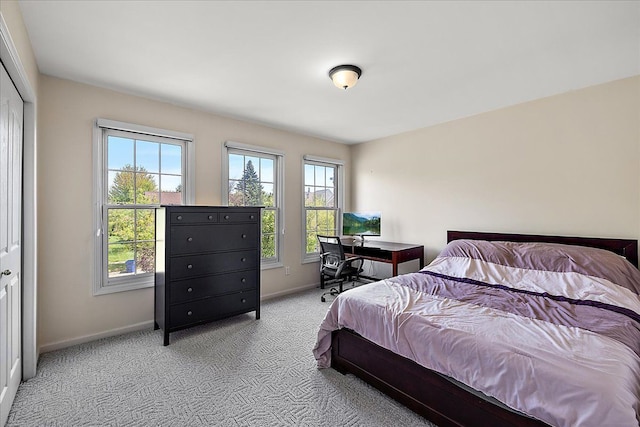 1708 Tremont Rd, Canton, MI 48188 - bedroom with multiple windows, carpet floors, and baseboards