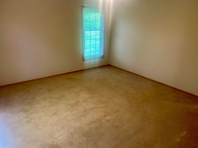 49421 Northwood, Shelby Twp, MI 48315 - spare room featuring light carpet and baseboards