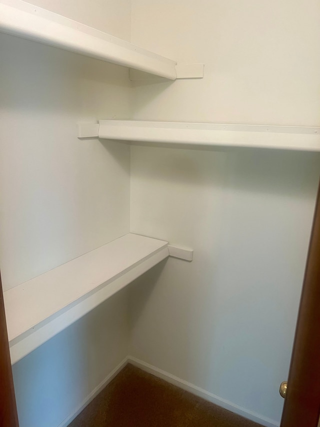 49421 Northwood, Shelby Twp, MI 48315 - view of spacious closet