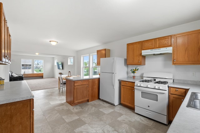4143 Wild Meadow St, Kalamazoo, MI 49048 - kitchen with white appliances, under cabinet range hood, open floor plan, light countertops, and a peninsula